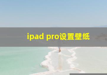 ipad pro设置壁纸